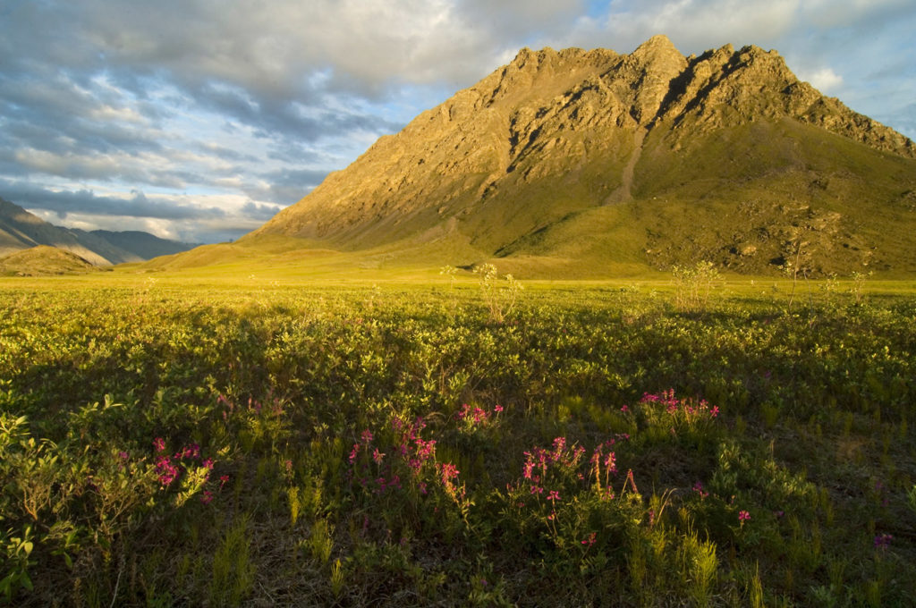 From campsite on Canning River rafting trip, Arctic National Wildlife Refuge, ANWR, Alaska.