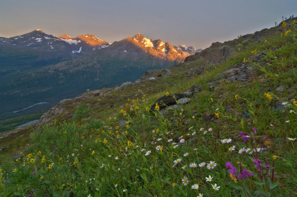 Sunrise over Chugach mountains.