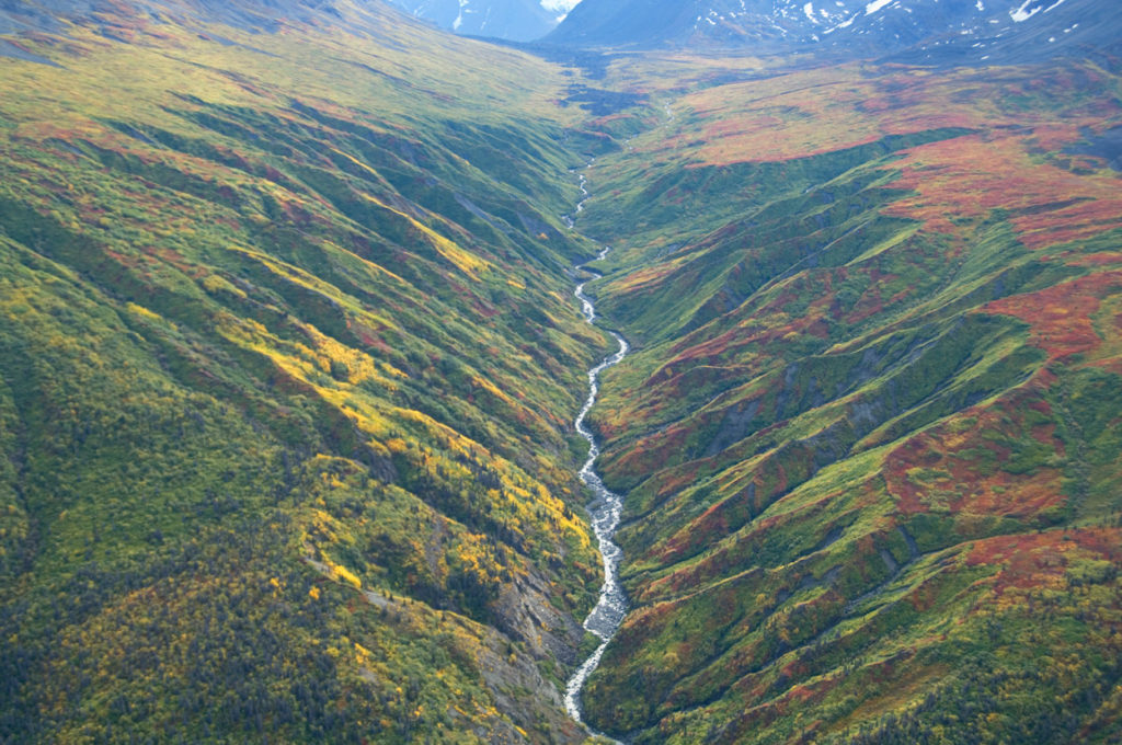 Fall colors east of the Chugach Mountains, Wrangell-St. Elias National Park, Alaska.