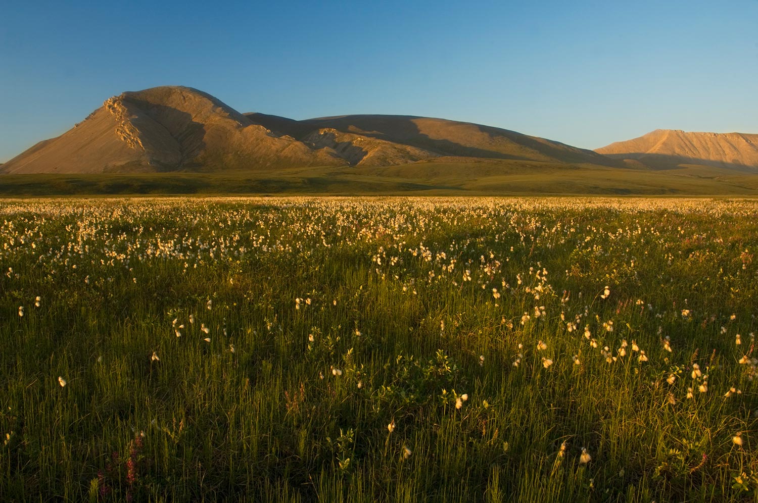 Mt Copleston, Arctic National Wildlife Refuge