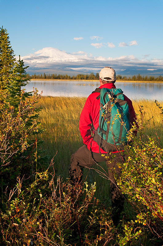 Hiking off the Nabesna Road, Mt. Sanford, Wrangell-St. Elias National Park, Alaska.