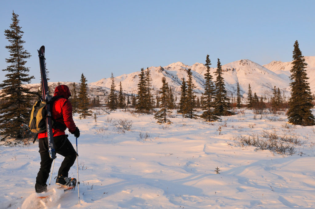 Alaska Snowshoeing trip up Mentasta Mountains for backcountry skiing trip, Wrangell-St. Elias National Park, Alaska.