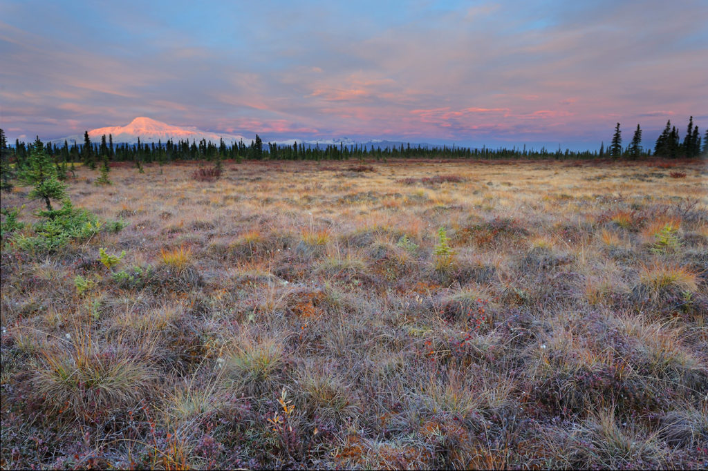 Mount Sanford at Dawn, Wrangell-St. Elias National Park, Alaska.