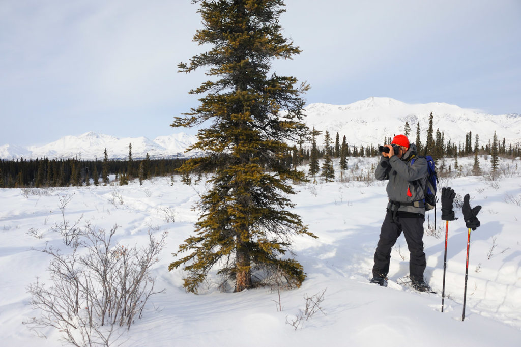 Snowshoeing trip in Wrangell-St. Elias National Park, Alaska.