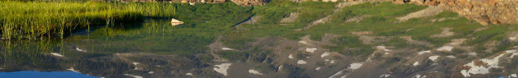 Chugach Mountains reflection, Iceberg Lake, Wrangell-St. Elias National Park.