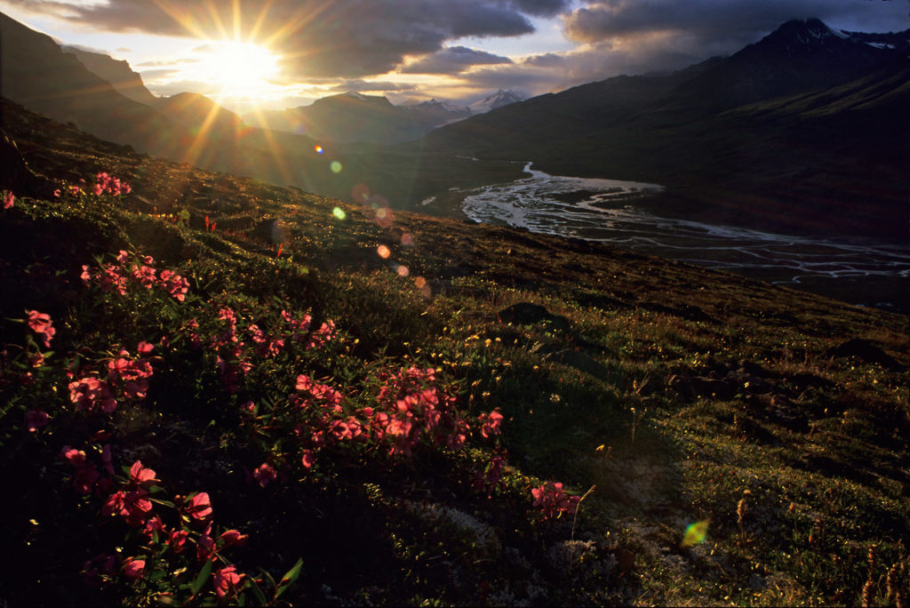 Alaska landscape photo tours Skolai Pass, Wrangell-St. Elias National Park and Preserve, Alaska