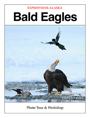 bald eagles trip ebook