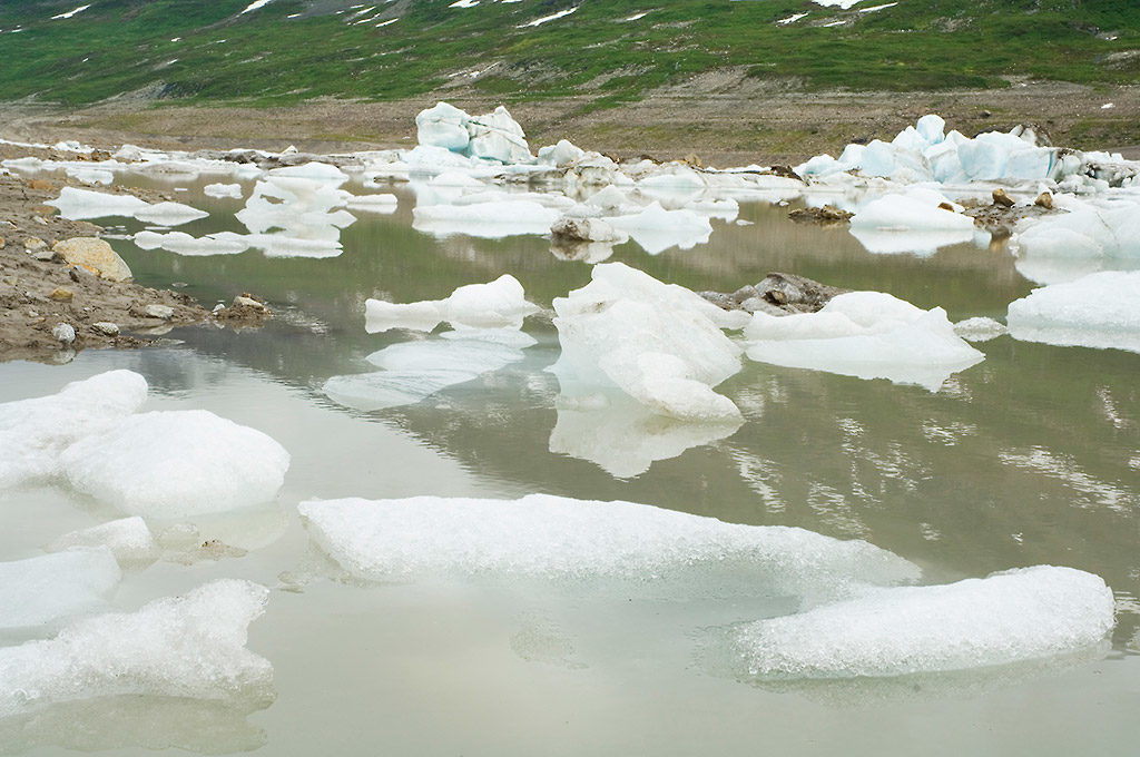 Alaska Camping Trip to Icebergs in Iceberg Lake.