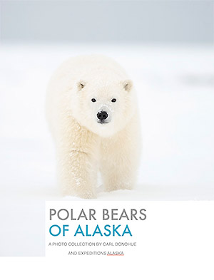 polar bear photo tour polar bear ebook cover button.