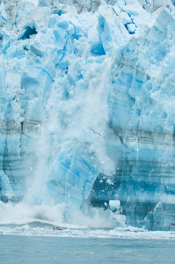 Wrangell-St. Elias National Park photos Hubbard Glacier calving.