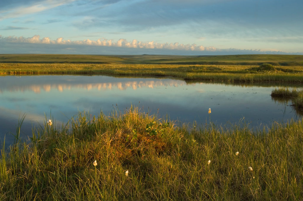 Section 1002, ANWR Photos, Coastal Plain, Arctic National Wildlife Refuge, Alaska.