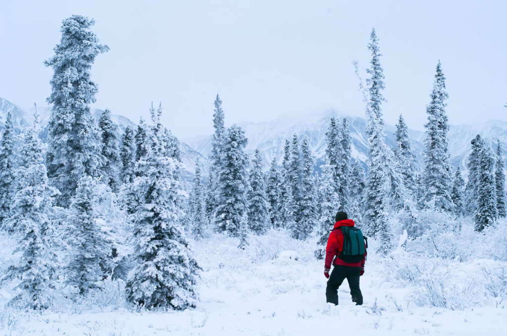 Wrangell-St. Elias National Park photo snowshoe trip.