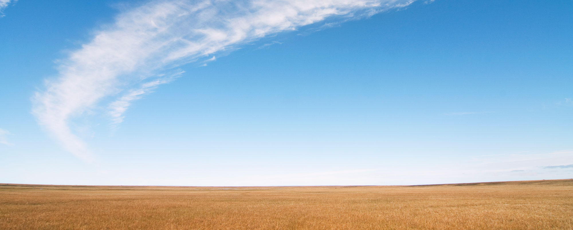 Coastal Plain, Arctic National Wildlife Refuge, ANWR, Alaska.