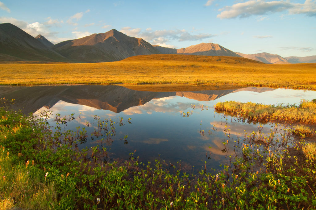 Foothills of the Brooks Range, ANWR photos, Arctic National Wildlife Refuge, Alaska.