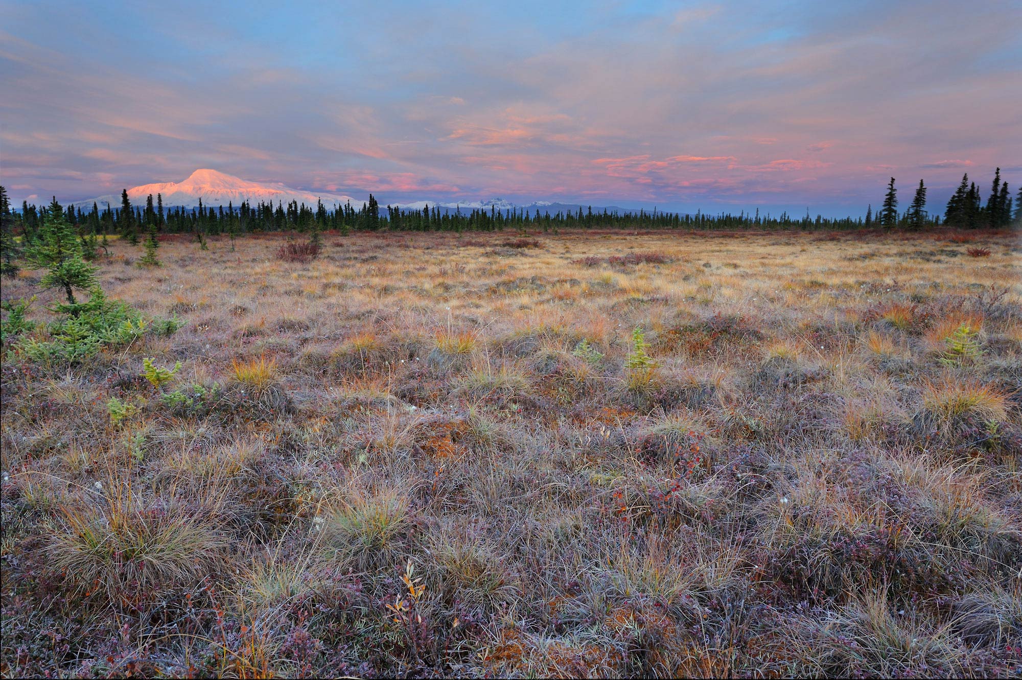 Wrangell-St. Elias National Park backpacking trips Alaska Mt. Sanford sunrise.