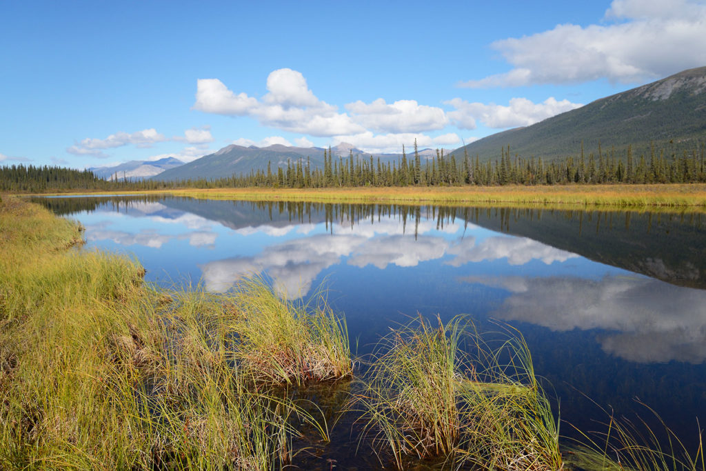 Guided hikes in Gates of the Arctic National Park old oxbow lake in Brooks Range Gates of the Arctic trips, Alaska.