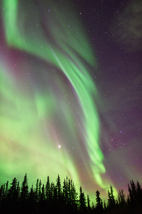 Wrangell - St. Elias National Park trips photo northern lights aurora borealis.