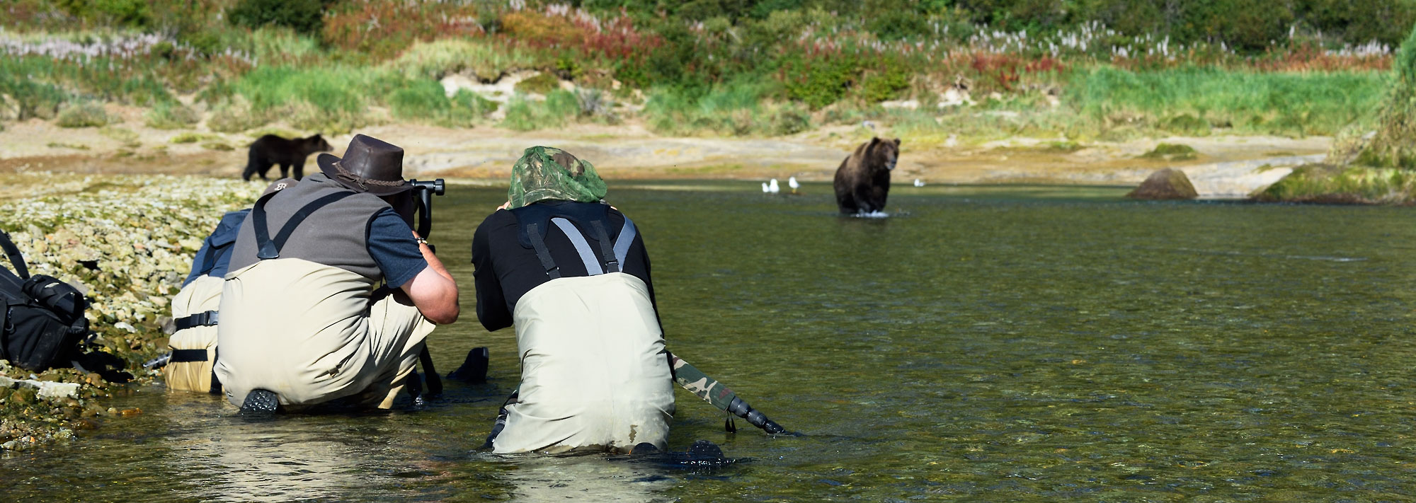 photographing brown bears Katmai Alaska.