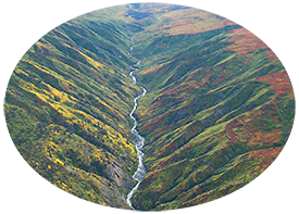 Chugach Mountains, fall colors, aerial photos, Wrangell - St. Elias National Park, Alaska.