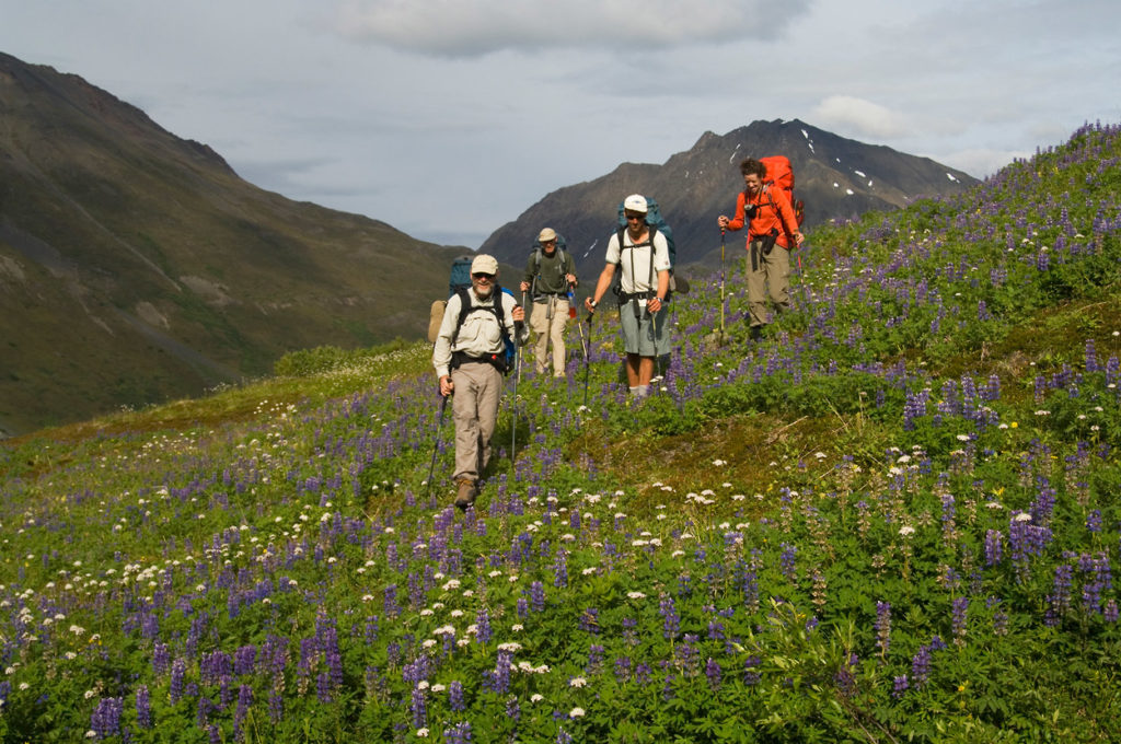 Backpacking group hiking up Klu River valley on Bremner Mines to Tebay lakes backpacking trip. Wrangell-St. Elias National Park, Alaska.