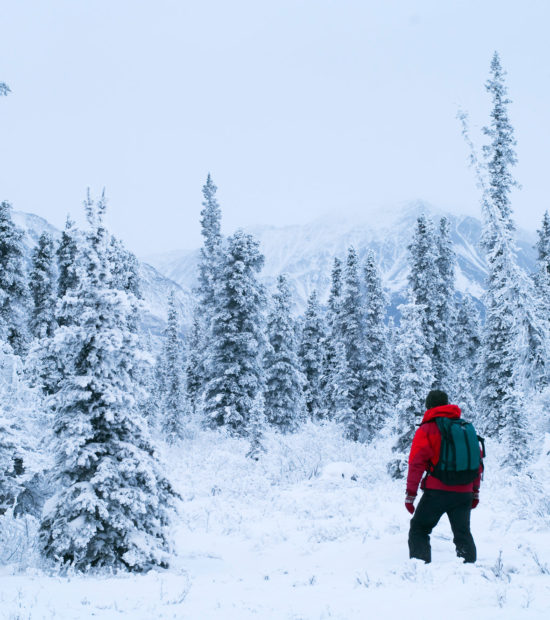 Alaska snowshoe trip Wrangell-St. Elias National Park winter snowshoeing forest.