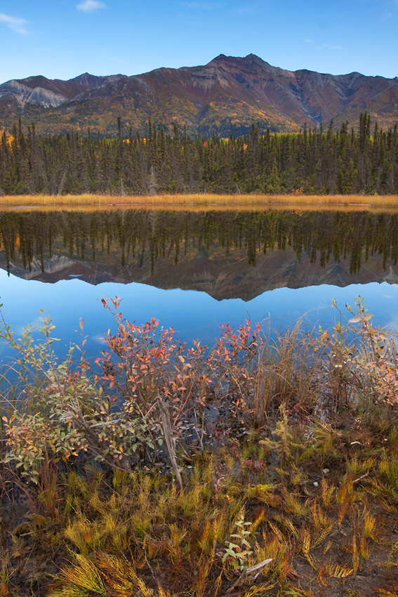 Alaska hiking trips Wrangell-St. Elias Park.