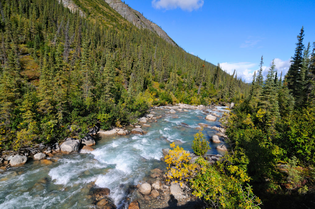 Hiking trips Arrigetch Peaks Arrigetch Creek and boreal forest. backpacking trip Arrigetch Peaks Gates of the Arctic National Park Alaska.