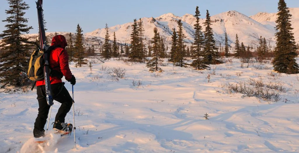 Guided Alaska snowshoeing trip in Wrangell-St. Elias National Park, Alaska.