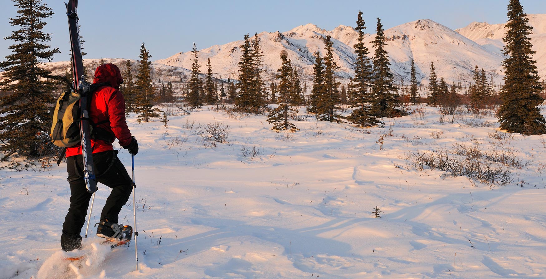 Guided snowshoe trips in Alaska Winter hiking Alaska snowshoe trips