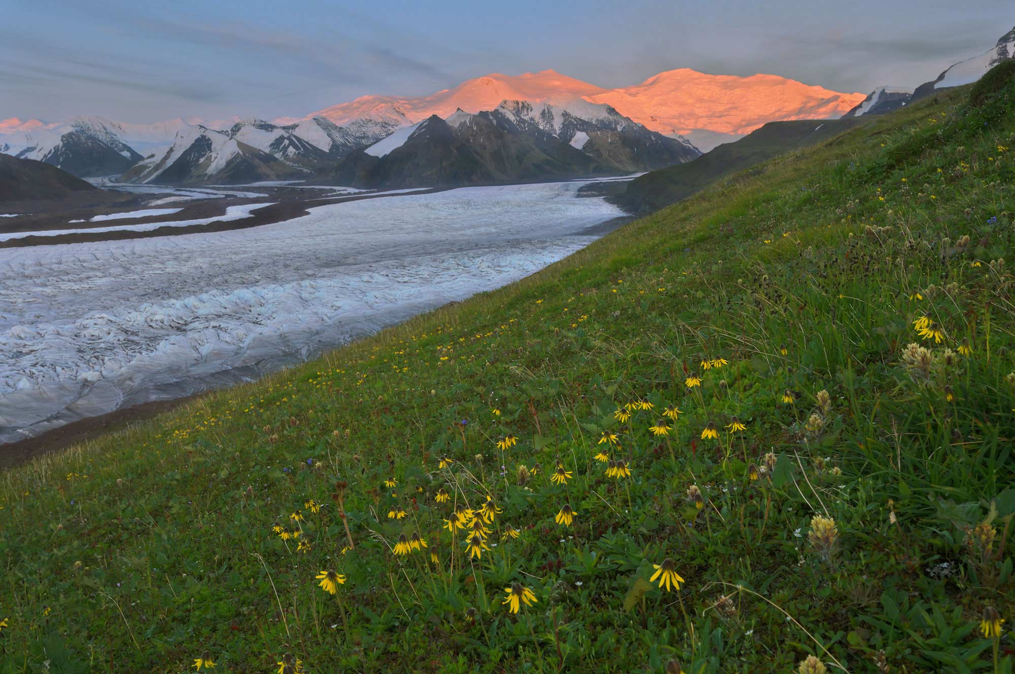 Skolai pass basecamp trip hiking and camping Alaska Wrangell-St. Elias National Park.
