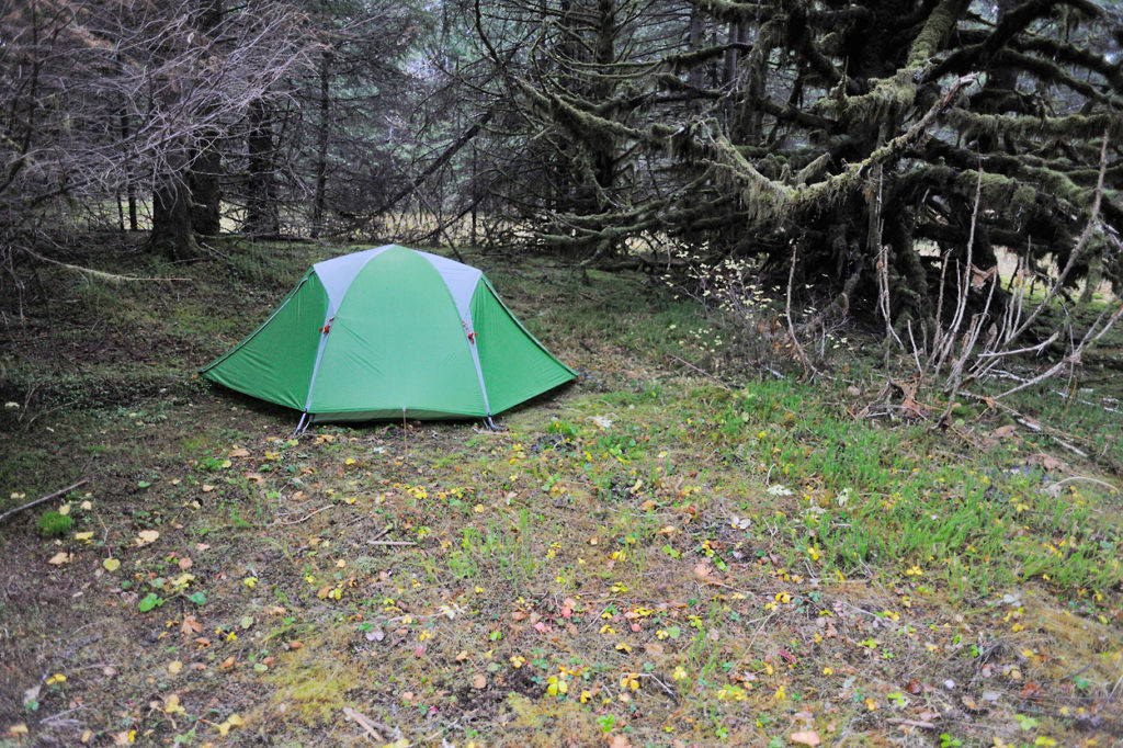 The Lost Coast backpacking and packrafting trip campsite in the forest Wrangell-St. Elias National Park, Alaska.