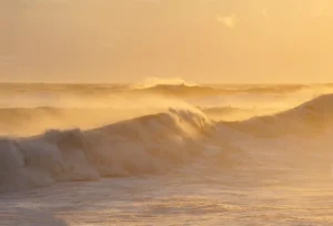 The Lost Coast backpacking trip, Malaspina Glacier and forelands, Wrangell-St. Elias National Park, Alaska.