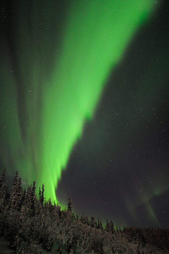 Aurora borealis photo tours in Alaska.