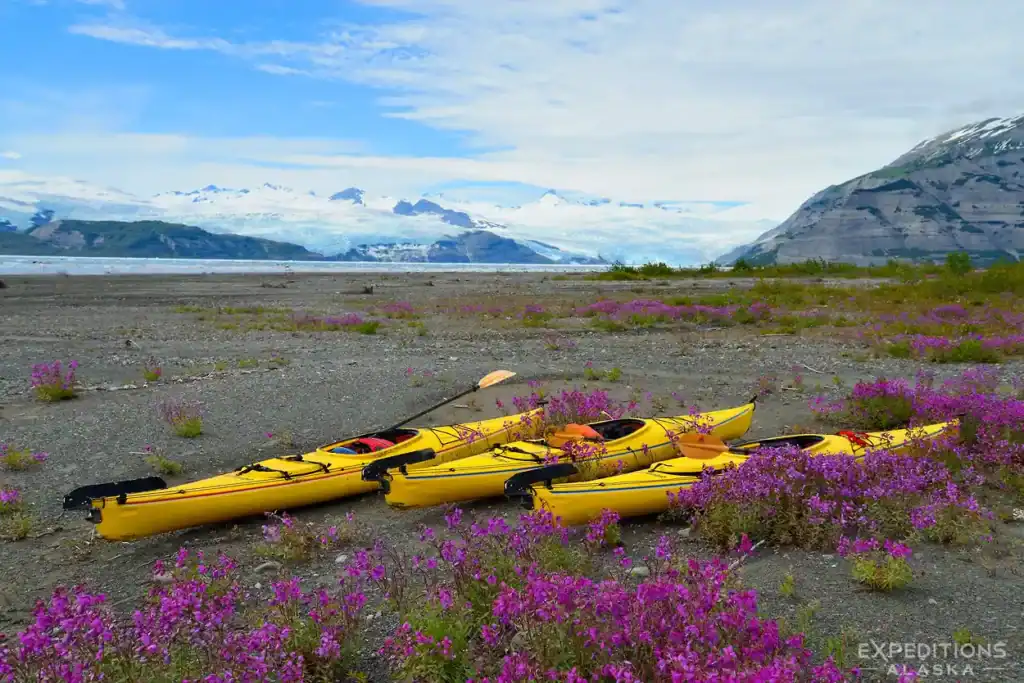 Sea kayaking trip in Alaska.