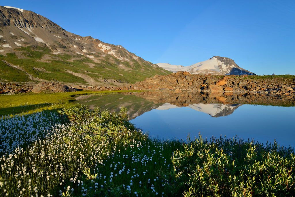 A small lake near Iceberg Lake, Wrangell-St. Elias National Park, Alaska.