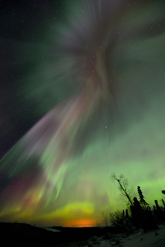 Aurora borealis photo tours in Alaska.