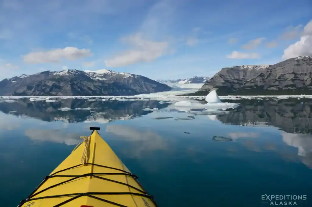 Sea kayaking trip in Icy Bay, Wrangell-St. Elias National Park, Alaska.