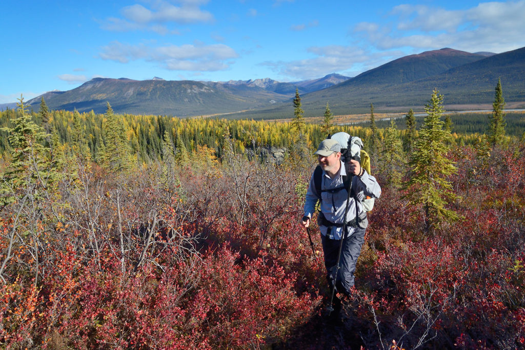 Guided hiking trips Arrigetch Peaks Fall color and gates of the Arctic National Park Arrigetch Peaks backpacking trip, Alaska.