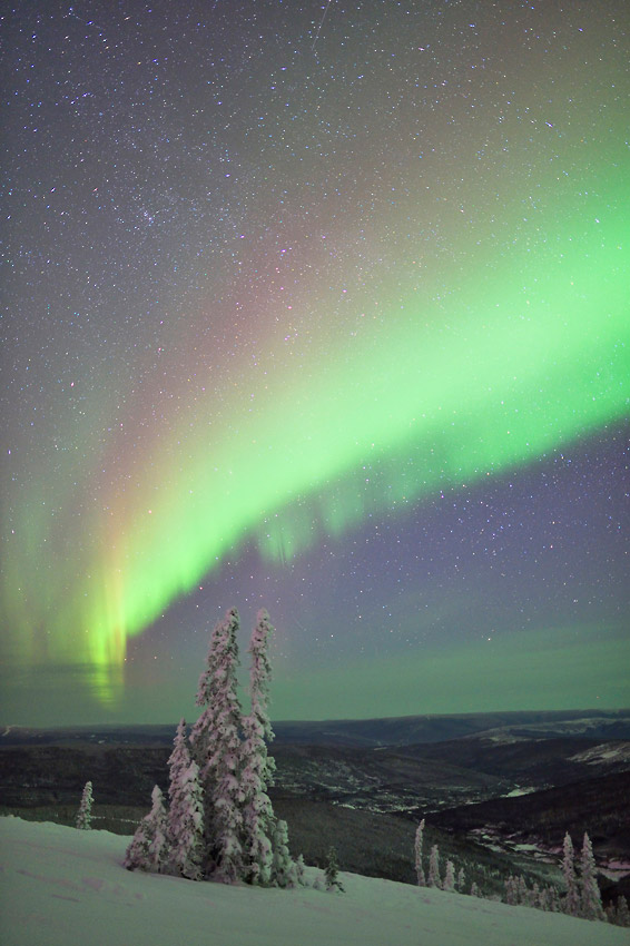 Aurora borealis photo tour in Fairbanks, Alaska.