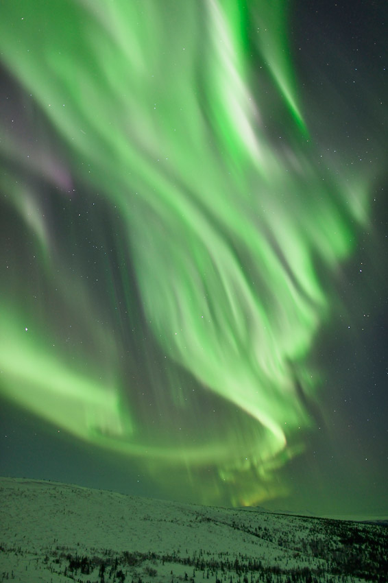 Alaska Aurora borealis photo tour vertical photo.