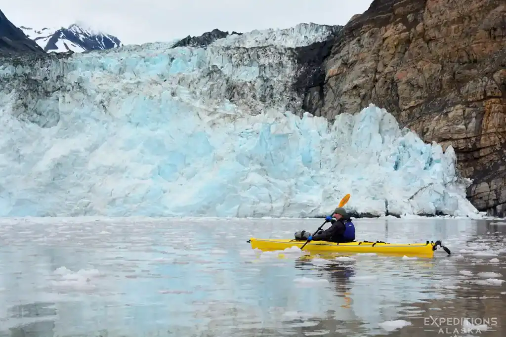 Sea kayaker paddling Taan fjord Icy Bay Alaska.