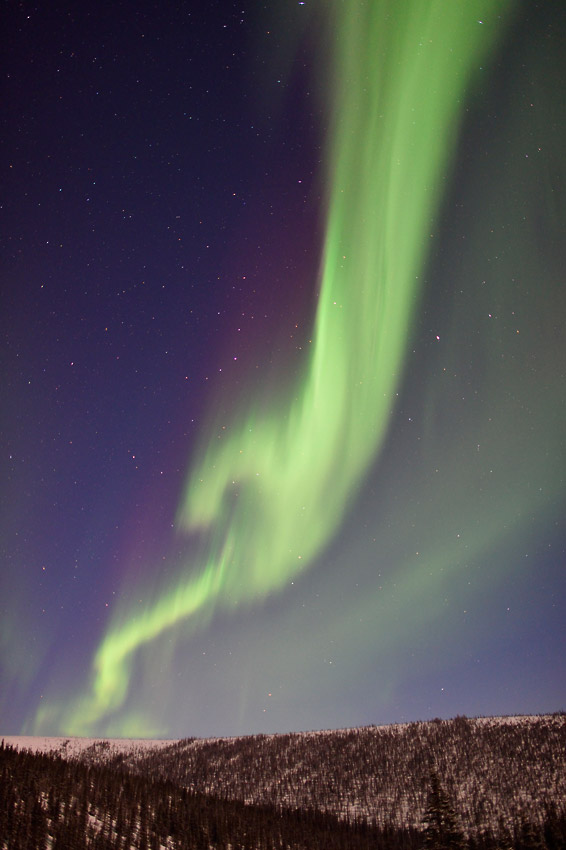 Alaska aurora borealis photo tour and White Mountains Alaska.