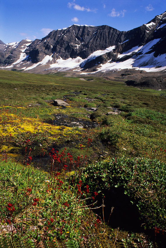 Chugach Mountains on Seven Pass hiking trip Wrangell-St. Elias National Park, Alaska.