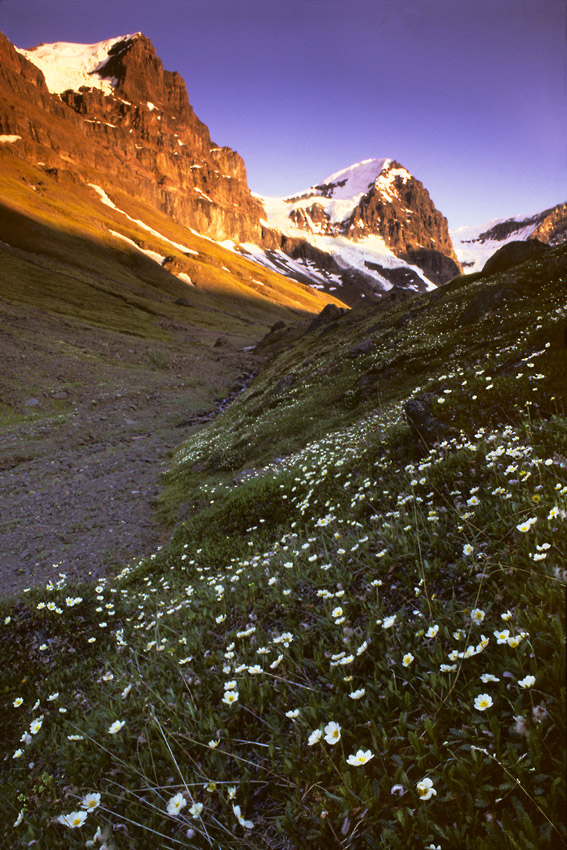 Skolai pass basecampjng trip Hole in the Wall hiking.