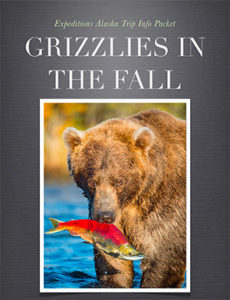 Alaska grizzly bears fall photo tour grizzlies-fall-book