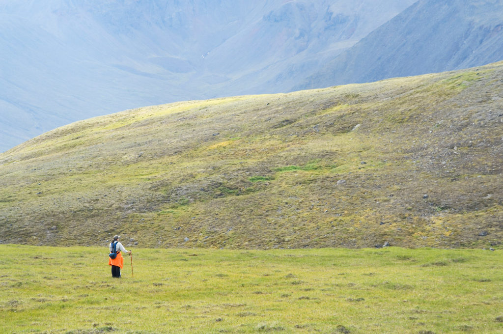 Alaska hiking trip Capital Mountain.