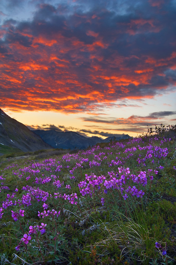 Sunset over Chugach mountains on Seven Pass Route hiking trip, Wrangell-St. Elias National Park, Alaska.