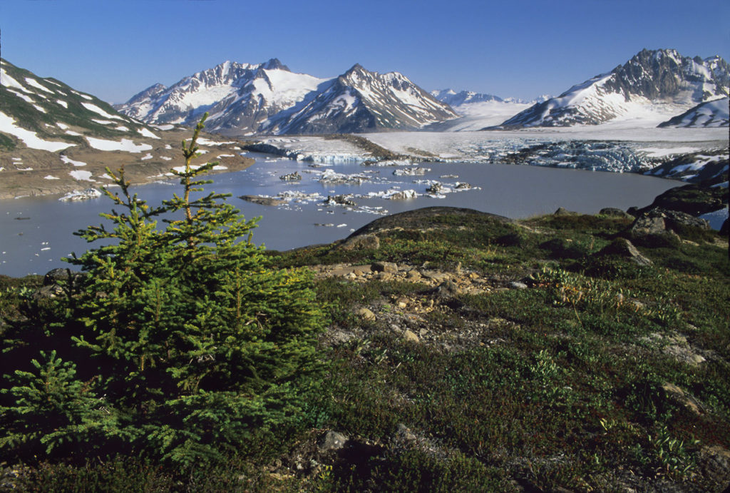 Iceberg Lake and Chugach mountains on Seven pass hiking trip, Wrangell-St. Elias National Park, Alaska.