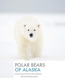 Alaska polar bear photo ebook cover image.
