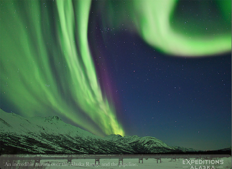 Free northern lights photography guidebook by Carl Donohue & Expeditions Alaska. Aurora over Alaska Range.